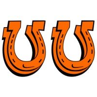 Lucky Horseshoe Decal Set - 8.5 Inches x 14 inches - Raceline Digital