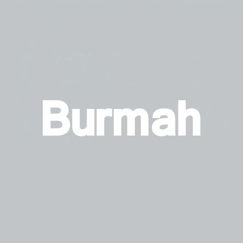 Burmah Sponsor Decal - Raceline Digital