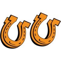Lucky Horseshoe Decal (Early Type Set) - 9 Inches x 16 inches - Raceline Digital