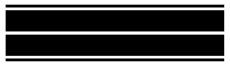 Double Top Center Stripes with Outside Pinstripes - Raceline Digital
