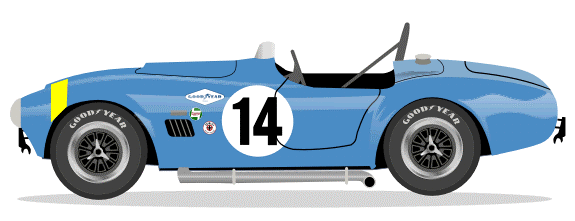 1964 COBRA 289 FIA Roadster USRRC No 14 Kit