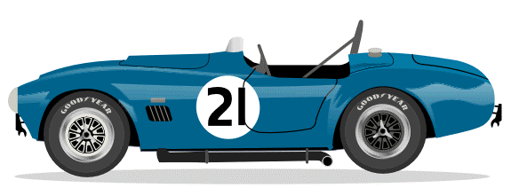 1964 Factory COBRA 289 FIA Roadster No 21 Kit