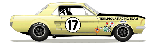 1967 Shelby Trans Am Team Car #17 Kit